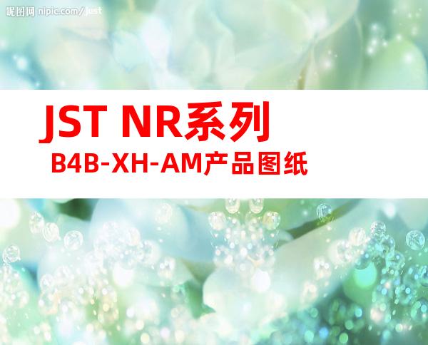 JST NR系列 B4B-XH-AM产品图纸
